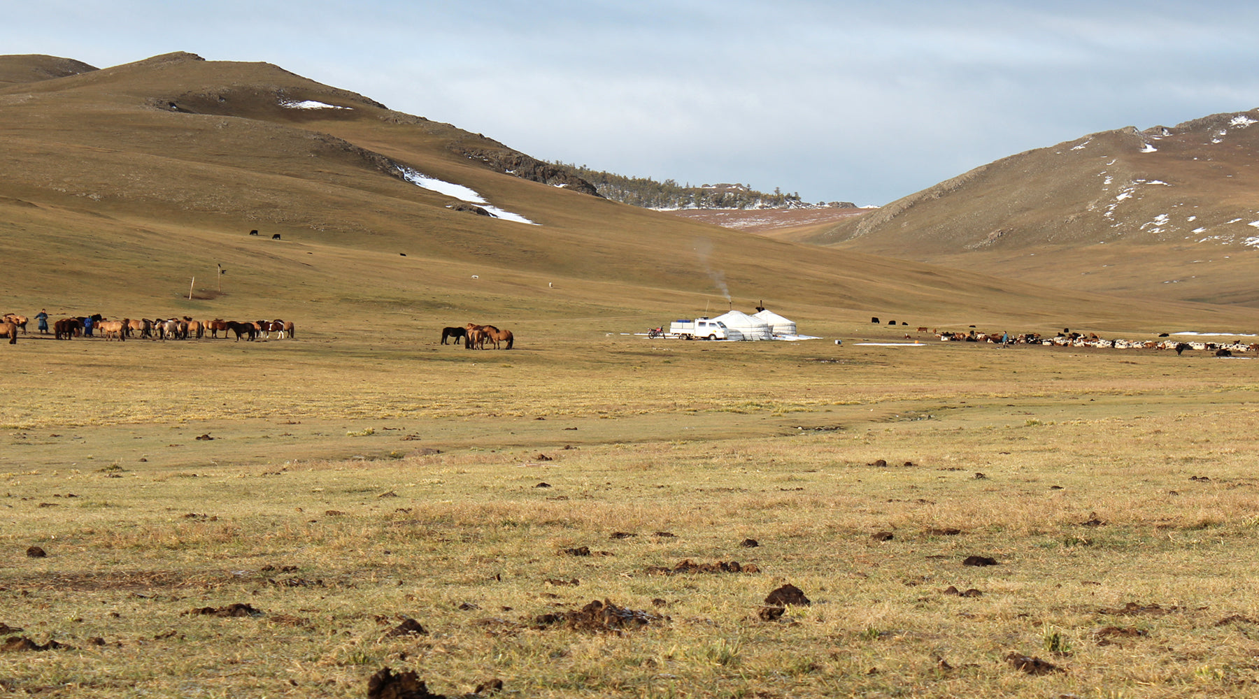 Mongolia : The Land of Wild Beauty