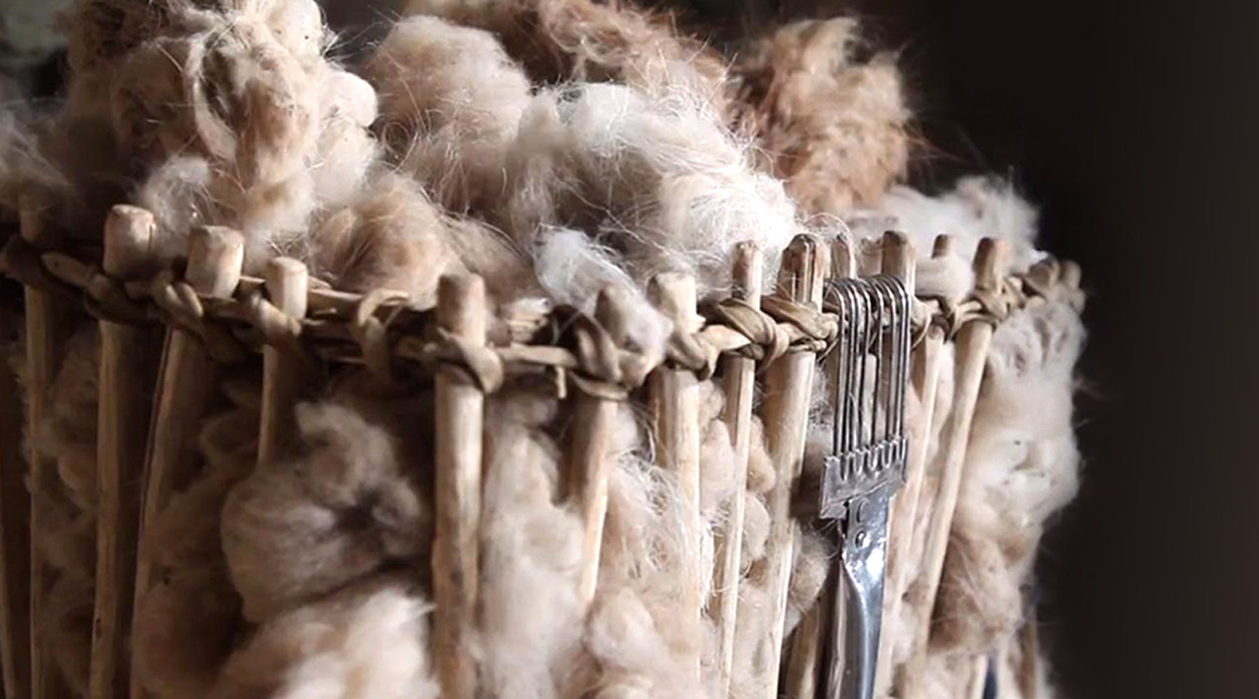 Mongolia: "Handcombed"