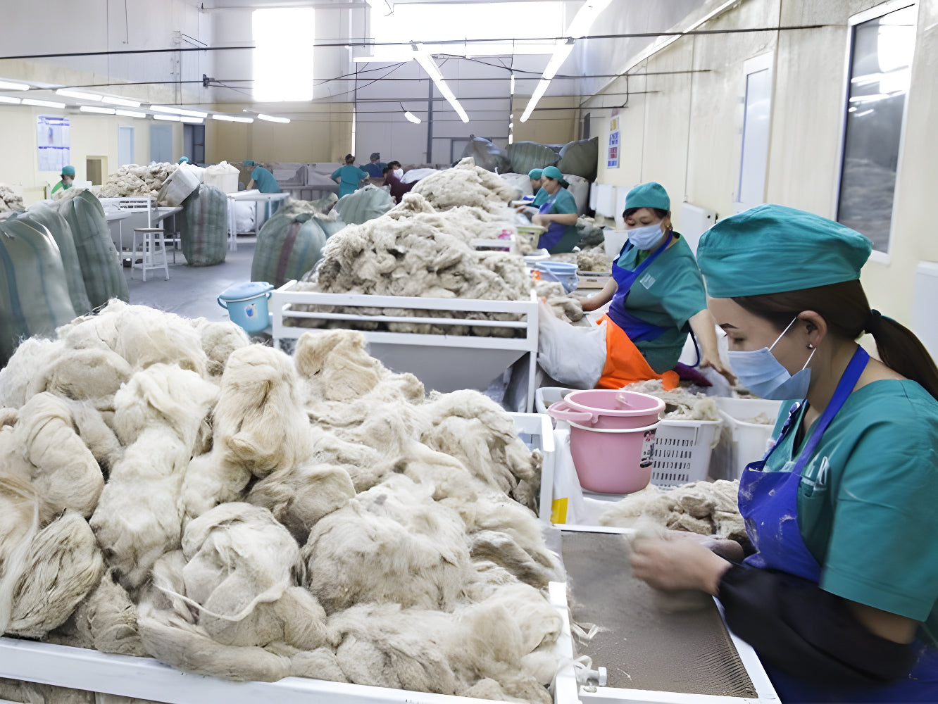 Certification department of Mongolian National Federation of Pasture User