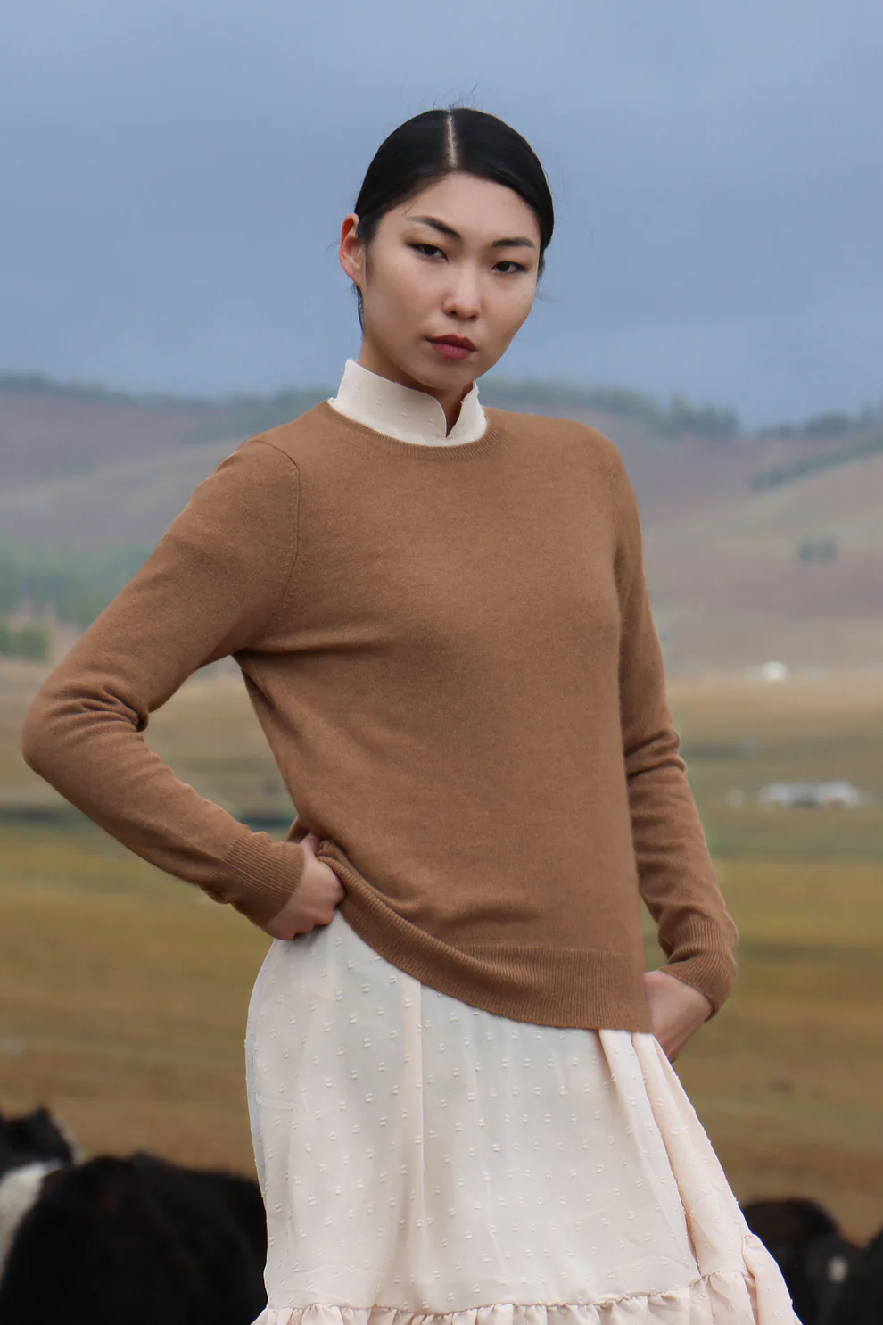 Camel Wool Womens Classic Crew Neck Sweater